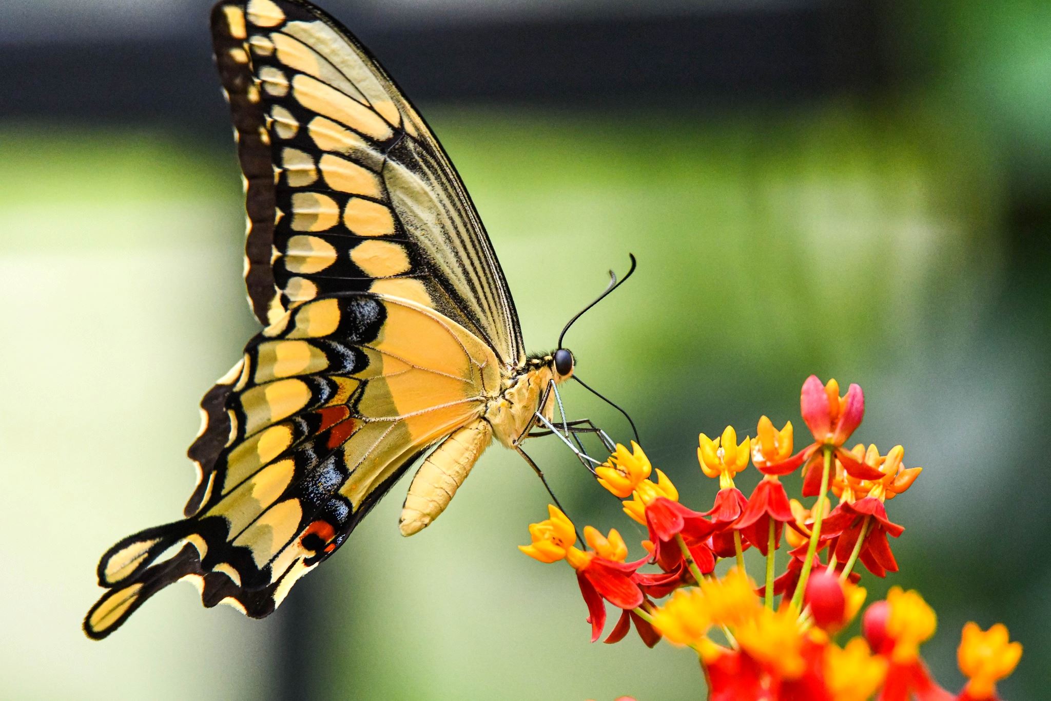 338418804_3317583891816394_4824061036821303438_n