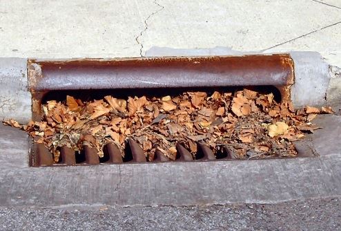 Leaves Blocking Storm Drain
